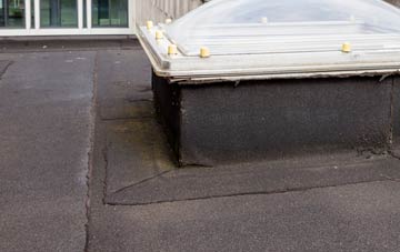 disadvantages of South Kyme flat roofs